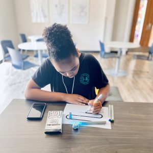 Copy of Copy of Individual Student Coding #1